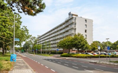 Merelstraat 238