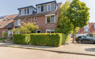Dotterbloem 14