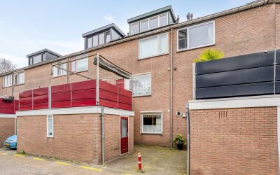 Zwaan 21