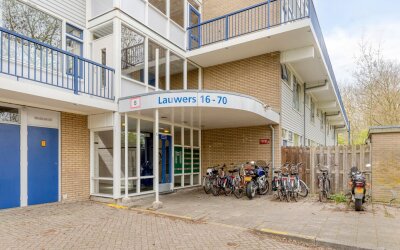 Lauwers 66