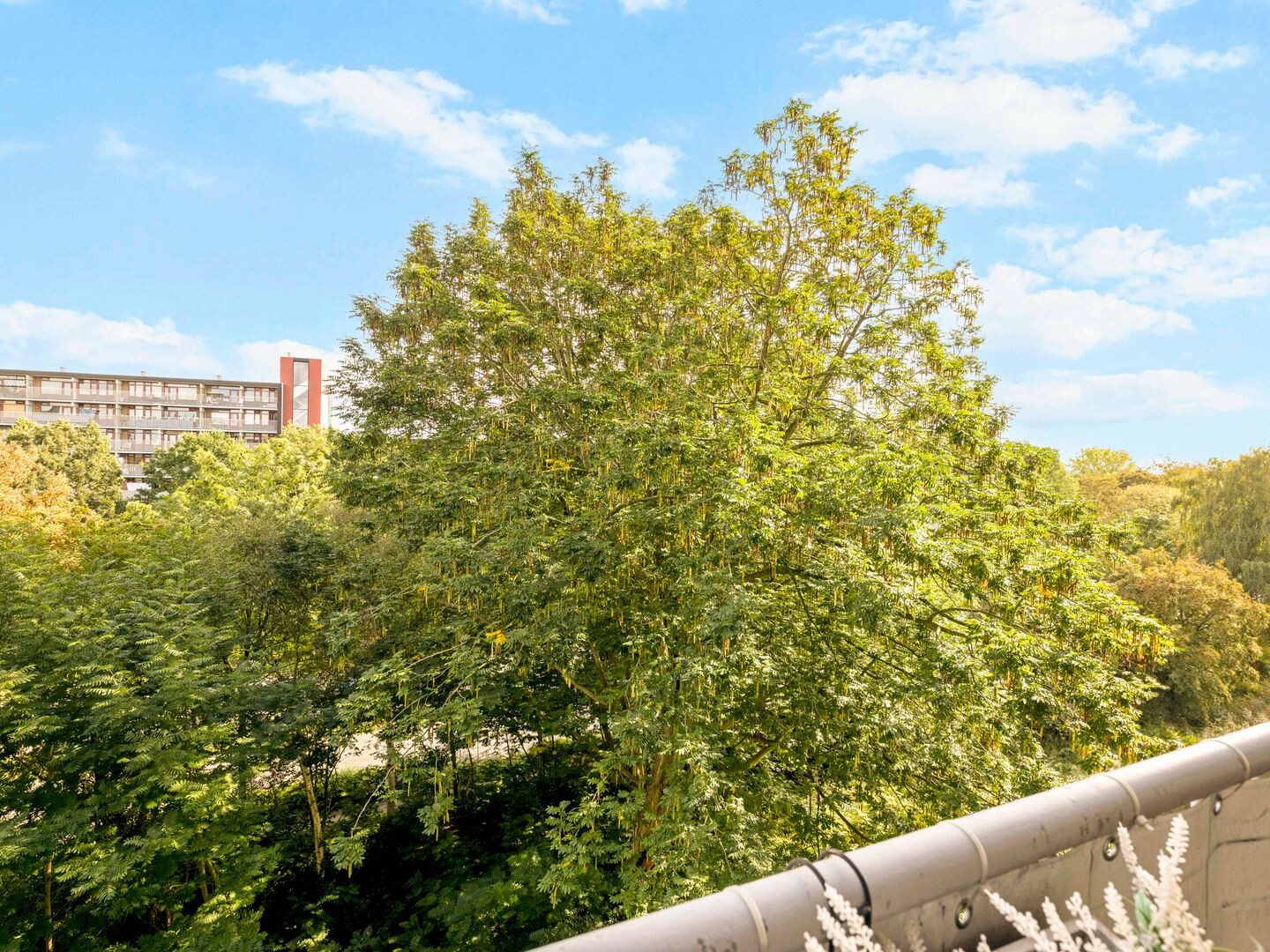 Appartement te koop: Vliestroom 77A, Alphen Aan Den Rijn