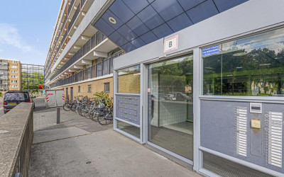 Argostraat 236