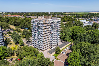Lupinesingel 220
