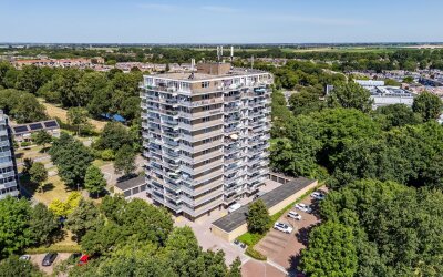 Lupinesingel 220