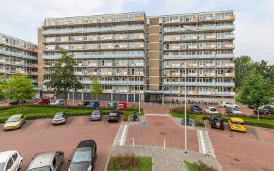Lupinesingel 274