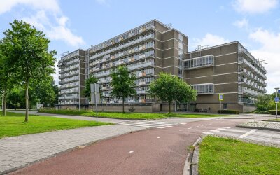 Lupinesingel 298