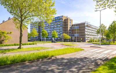 Lupinesingel 344