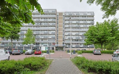 Lupinesingel 352