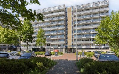 Lupinesingel 354