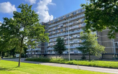 Lupinesingel 422