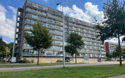 Lupinesingel 444