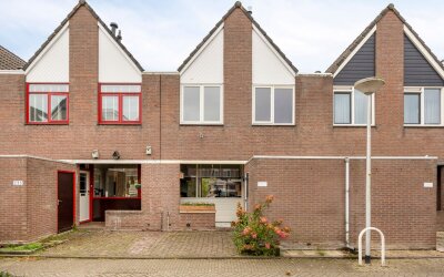 Aardster 237
