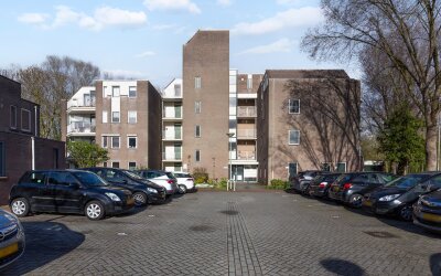 Koraalzwam 167