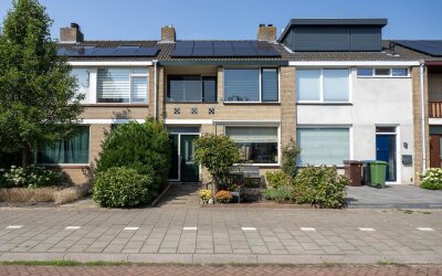 Vlierboomst. 7