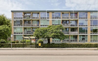 Seringenstraat 24