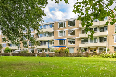 Cederstraat 59