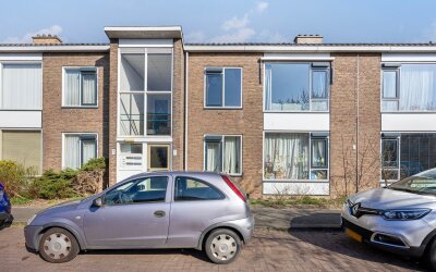 Witte de Wi. 8