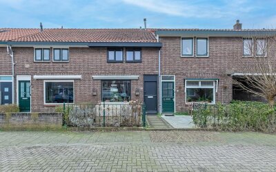 Hortensiast. 36