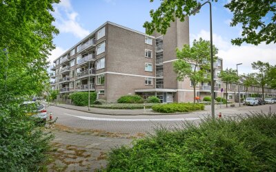Stellingmol. 81