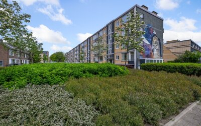 Fazantstraat 16