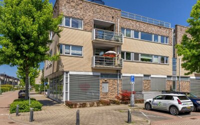 Dotterbloem 43