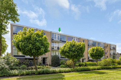 Dronensingel 123