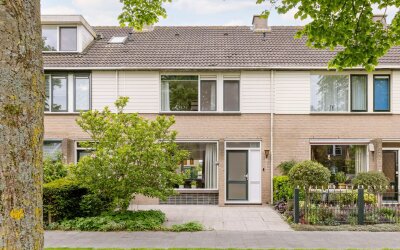 Goudplevier 17