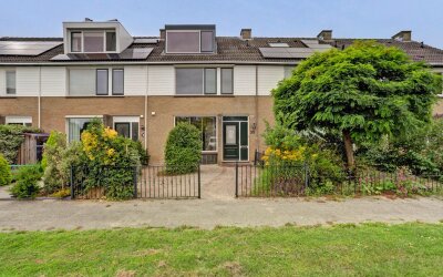 Goudplevier 35