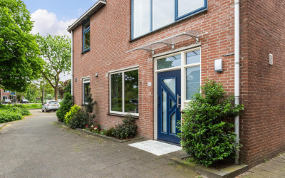 Goudplevier 69