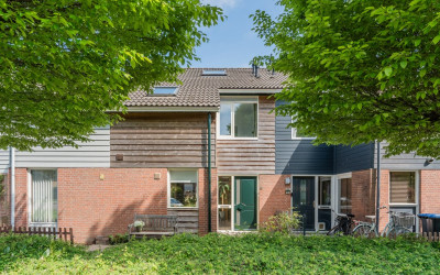 Hoornblad 6