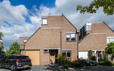 Zwanebloem 11