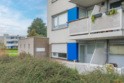 De Werf 5