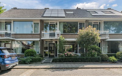 Oranjeplant. 9