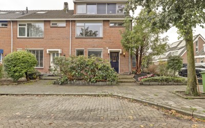 Groene Ree 7