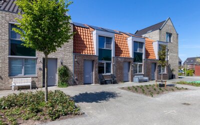 Boterbloem 20
