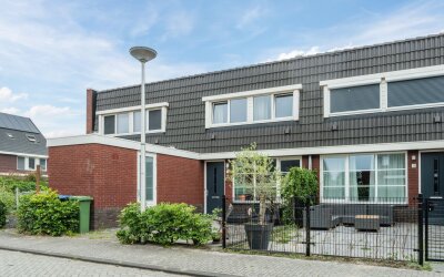 Goudsbloem 5