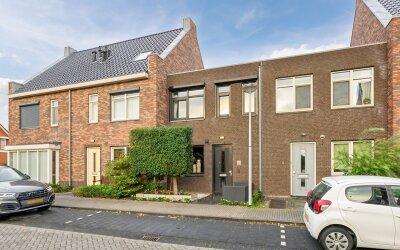 Goudsbloem 6