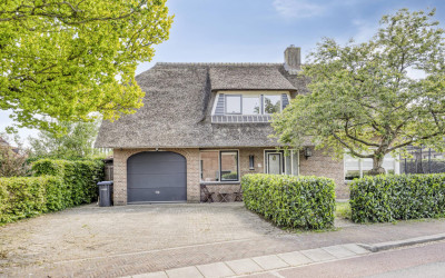 Hoge Rijndi. 51-D