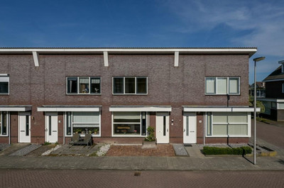 Boerenzwaluw 6