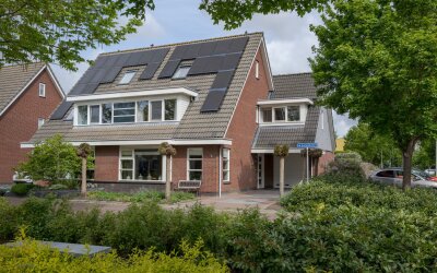 Scholekster 1