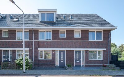 Aalscholver 2