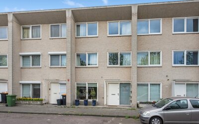 Pijlkruidve. 28