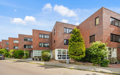 Goudkarpers. 8