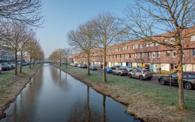 Pijlstaarts. 20