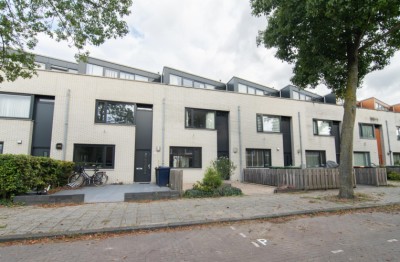Kuifduikers. 29