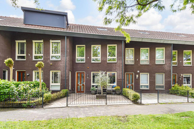 Zilvermeeuw. 15