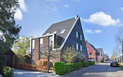 Gentiaan 47