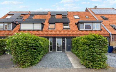 Veenwortel 42