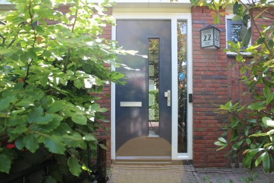 Blauwe Zegge 22