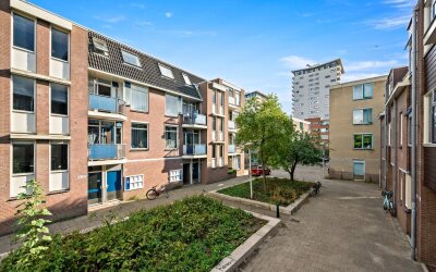 Boerhaavest. 107